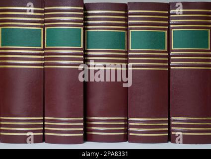 Blank cover of big red books lined on a bookshelves with green rectangle for the title Stock Photo