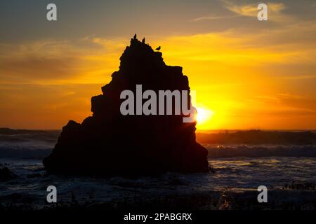 Bird Rock Sunset Stock Photo