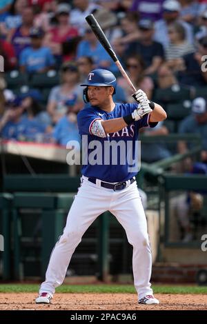 Texas Rangers designated hitter Yoshi Tsutsugo (39) prepares to bat during  the fourth inning of a spring training baseball game against the Los  Angeles Dodgers in Glendale, Ariz., Thursday, March 16, 2023. (