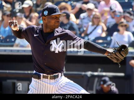New York Yankees pitcher Domingo German (65) delivers against the Toronto  Blue Jays during the fourth inning of a baseball game, Friday, April 20,  2018, in New York. (AP Photo/Julie Jacobson Stock