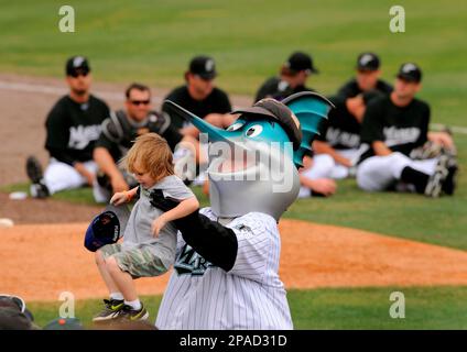 Miami Marlins Mascot Billy the Marlin celebrates on the dugout after the  2nd inning against the New York Yankees in their first exhibition game at  the new Marlins Ball Park April 1