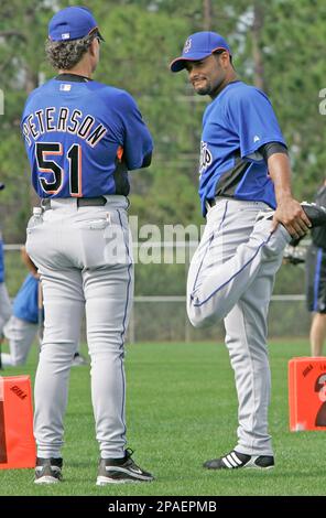 Pedro Santana, Hitting Instructor, Batting Lessons