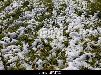 A covering of snow in a speckled pattern on grass, light snow covered lawn during the winter Stock Photo