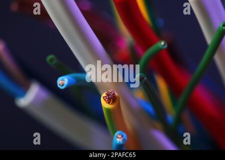 Colorful cables on blurred background, closeup. Electrician's supply Stock Photo