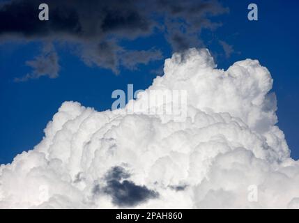 Dark gray storm clouds moving toward white cumulus cloud on sunny blue sky day, Canada Stock Photo