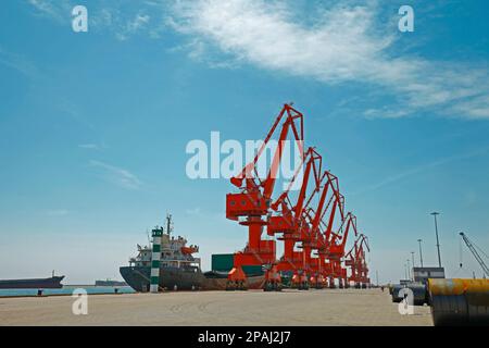 roll steel in harbor , Cold rolled steel coils Stock Photo
