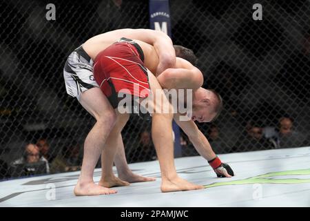 March 11, 2023, Las Vegas, NV, Las Vegas, NV, USA: LAS VEGAS, NV - MARCH 11: (L-R) Merab Dvalishvili controls the body of Petr Yan in their Bantamweight fight during the UFC Fight Night: Yan vs. Dvalishvili event at The Theater at Virgin Hotels on March 11, 2023 in Las Vegas, NV, USA. (Credit Image: © Louis Grasse/PX Imagens via ZUMA Press Wire) EDITORIAL USAGE ONLY! Not for Commercial USAGE! Stock Photo