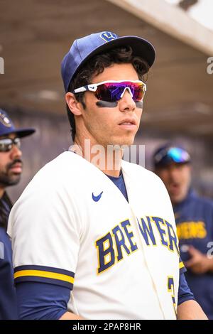 Milwaukee Brewers designated hitter Christian Yelich (22) slides into ...