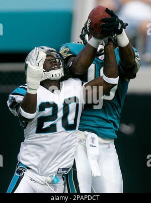 Carolina Panthers cornerback Chris Gamble (20) watches the last of