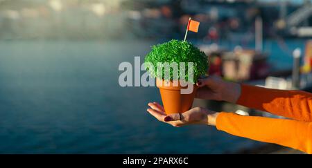 Manjerico in hands against river Douro Stock Photo