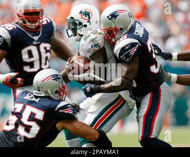 Junior Seau: A Life in Pictures  Miami dolphins football, Nfl