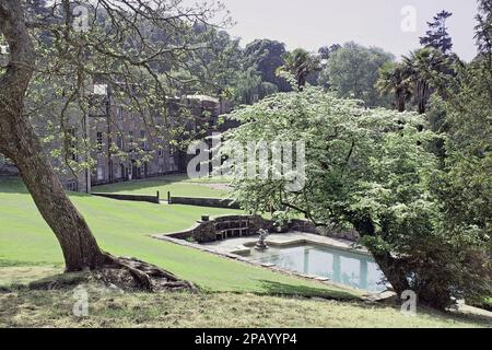 Photo illustration of Exterior Port Eliot House, with pool and framed by tees to the fore,  at St Germans in south east Cornwall Stock Photo