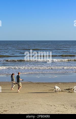 Galveston, Texas, USA - February 2023: Two people walking a dog on the beach at low tide Stock Photo