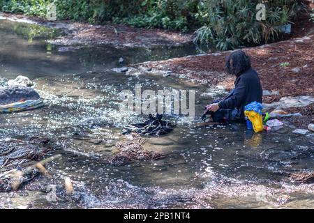 Zapopan, Jalisco Mexico. January 1, 2023. Homeless man sitting on rocks washing his clothes in a river, flowing water, wild green plants in background Stock Photo