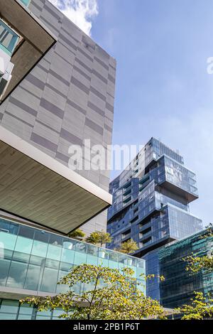 Zapopan, Jalisco Mexico. January 1, 2023. Area with small green trees, exterior of a complex of modern residential and office buildings against a blue Stock Photo