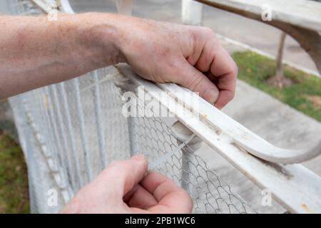 Close-up of male hands of senior man placing plastic cable ties to hold metal mesh on fence, street, grass in blurred background, sunny day. Concept o Stock Photo