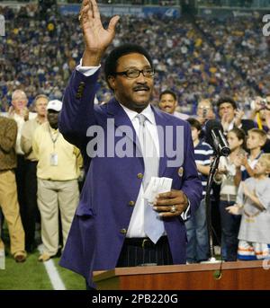 1975 Minnesota Vikings Football Player Chuck Foreman Runs, 55% OFF