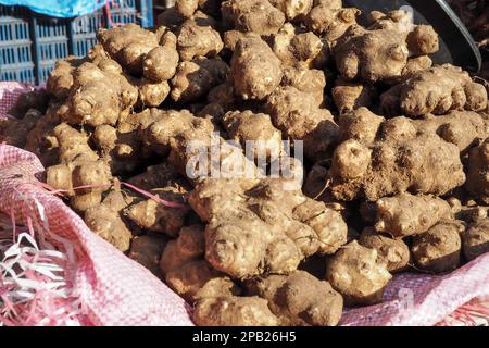 Dry ginger roots in plastic crate displayed on street market in Morocco Stock Photo