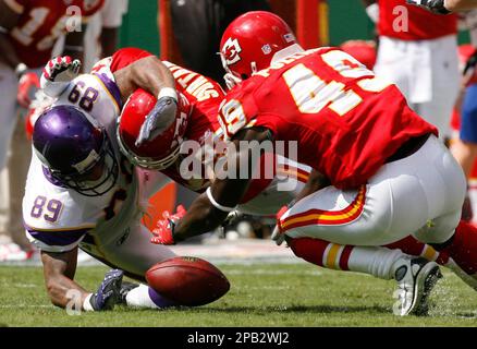 Green Bay Packers Robert Ferguson in action vs Minnesota Vikings