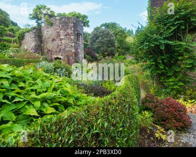 Early summer view in the walled garden at The Garden House, Buckland Monachorum, Devon Stock Photo