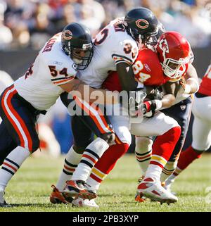 Chicago Bears linebacker Lance Briggs (55) jokes with a teammate during the  Bears training camp practice at Olivet Nazarene University in Bourbonnais,  IL. (Credit Image: © John Rowland/Southcreek Global/ZUMApress.com Stock  Photo 