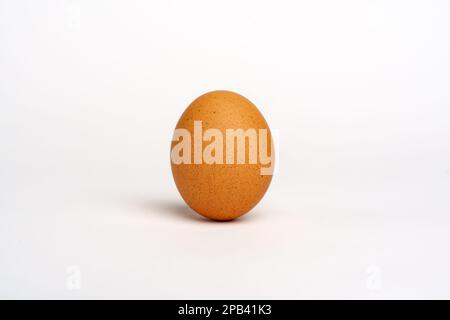 Egg brown,  isolated on white background. Studio Stock Photo