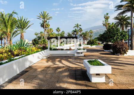 Parque Maritimo Cesar Manrique, Promenade, Puerto de la Cruz, Tenerife, Spain, Europe Stock Photo