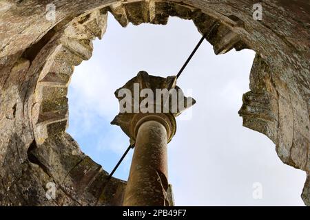 Old Wardour Castle ruins and grounds Stock Photo