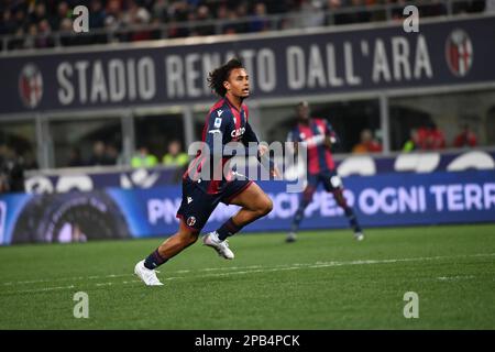 Renato Dall'Ara stadium, Bologna, Italy, March 11, 2023, Joshua Zirkzee (Bologna FC) in action  during  Bologna FC vs SS Lazio - italian soccer Serie Stock Photo