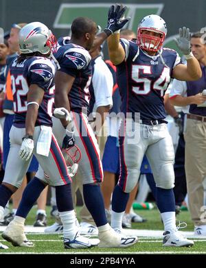 Tedy Bruschi New England Patriots Photo (AAGU065)