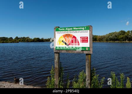 Henley Lake Park in Masterton, New Zealand, on a bright summer day. Toxic algae warning sign set to low. Warning notice with symptoms information Stock Photo