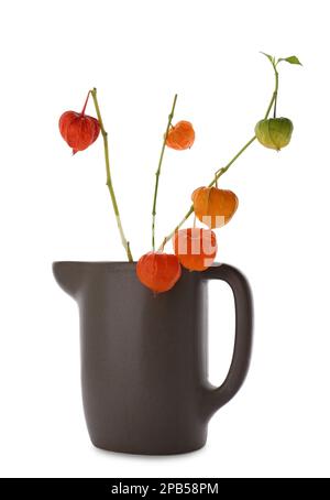 Physalis branches in jug on white background Stock Photo