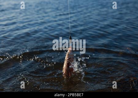 Catching fish on hook in river. Fishing day Stock Photo - Alamy