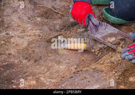 A hand of an archaeologist holding a charcoal-filled container and a trowel lying on the ground. Working archeology Stock Photo