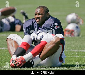 New England Patriots' Adalius Thomas (96) celebrates a sack on