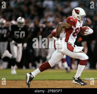 Arizona Cardinals wide receiver Bryant Johnson (80) scores the first  touchdown in the new Cardinals Stadium as Pittsburgh Steelers' Ike Taylor  (24) defends during the first quarter of an NFL exhibition football