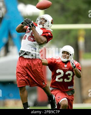 Arizona Cardinals running back J.J. Arrington is upended by Pittsburgh  Steelers safety Tyrone Carter after a 22 yard reception in the fourth  quarter at Super Bowl XLIII at Raymond James Stadium in