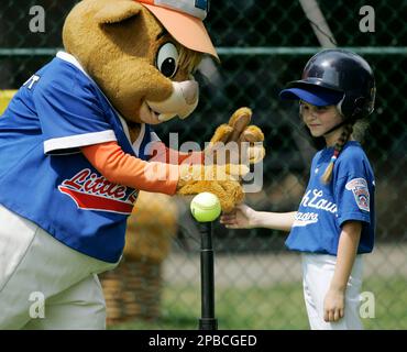 Little League World Series Baseball 2008 - IGN