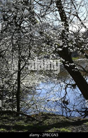 Figgate Park Portobello Edinburgh Stock Photo