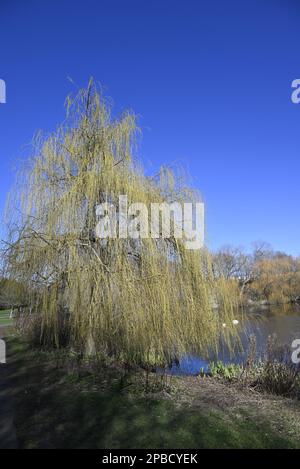 Figgate Park Portobello Edinburgh Stock Photo