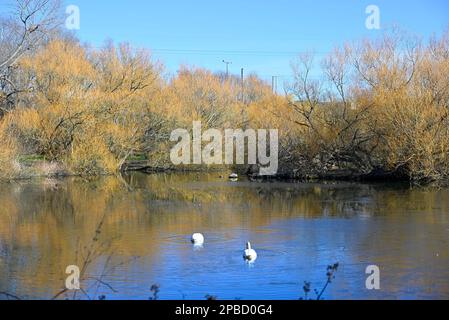 Figgate Park Portobello Edinburgh Stock Photo