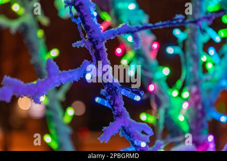 Colorful Christmas holiday lights adorn a tree at night in the darkness providing brilliant color and twinkle in a rainbow of colors for travelers and Stock Photo