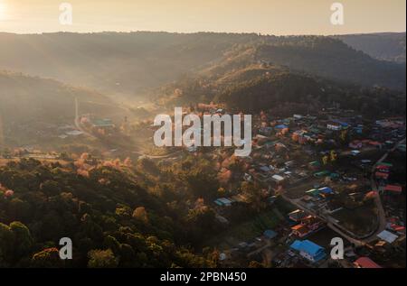 Aerial view Ban Rong Kla village with Wild Himalayan Cherry Blossom in Phitsanulok , Thailand. Beautiful landscape in the winter season. Stock Photo