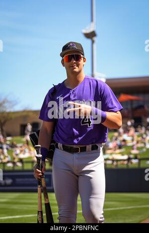 This is a 2023 photo of Michael Toglia of the Colorado Rockies baseball  team. This image reflects the Colorado Rockies active roster as of Friday,  Feb. 24, 2023, when this image was