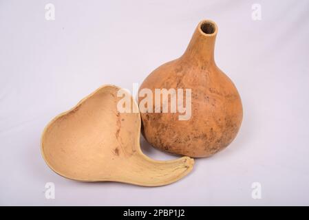Gourd, calabash, gourd spoon on an isolated background Stock Photo