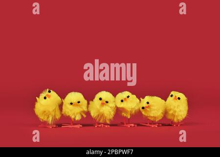 Small decorative Easter chickens in a row on red background Stock Photo