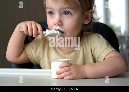 Young Kid Eating Blend Mashed Feed Sitting in High Chair. Baby Weaning. Little Girl Learning to Eat Yogurt, Feeding Himself. Small Hand with Spoon. Br Stock Photo