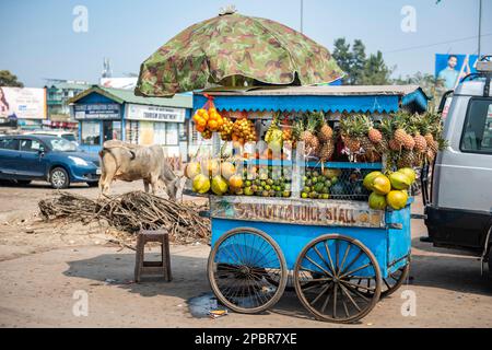 Siliguri, West Bengal, India. 24th Feb, 2023. This station is nostalgic for Bengali people and very important with too many features. This is the Entry point to Nepal, Sikkim, Bhutan, Bangladesh and 7 sister states Assam, Arunachal, Nagaland, Manipur, Mizoram, Tripura, Meghalaya. The New Jalpaiguri Junction railway station was established in 1960. It is the largest as well as the busiest railway junction in Northeast India. This junction is the largest among the railway stations which serve the city of Siliguri, the largest metropolis of North Bengal. New Jalpaiguri Junction acts as a conne Stock Photo