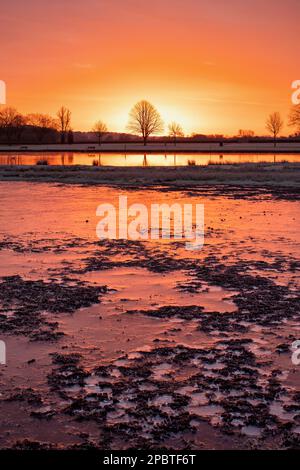 Frozen flood water at sunrise along the River Thames. Henley on Thames, Oxfordshire, England Stock Photo