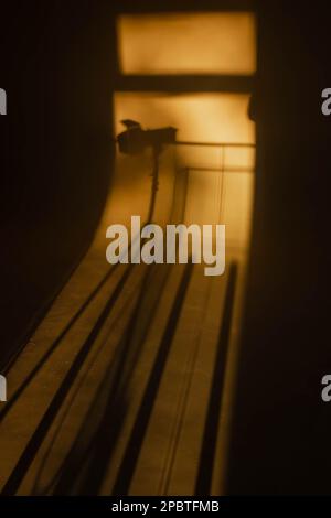 Alone in the Dark - Official Spotlight Video